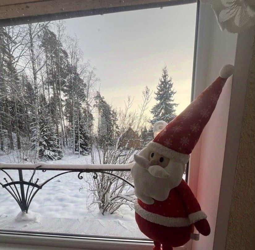 Дом, 350 м2, 3 га, 2 эт. Сосново - изображение 5