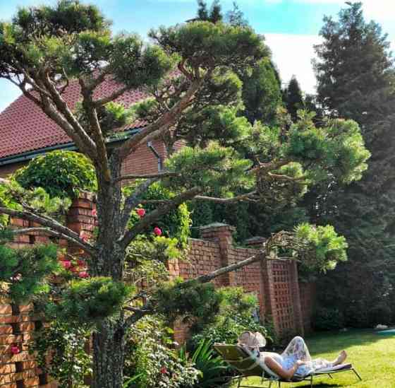 Дом, 250 м2, 12 соток, 3 эт. Солнечногорск