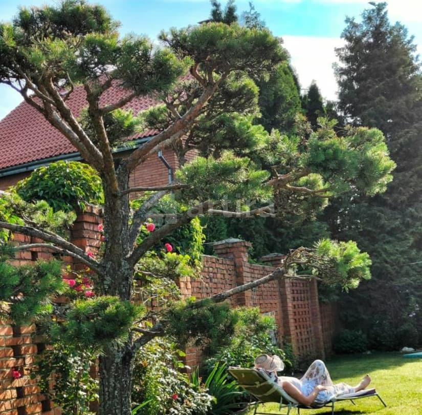 Дом, 250 м2, 12 соток, 3 эт. Солнечногорск - изображение 2