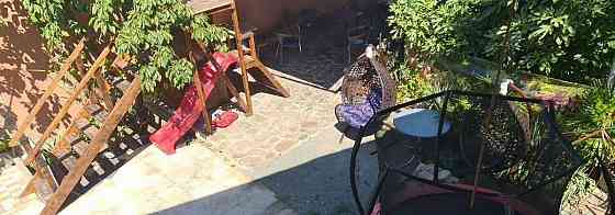 Комната, 15 м2, 1/1 эт. Ялта