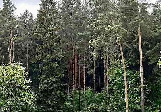 Коттедж, 450 м2, 8 соток, 3 эт. Мытищи