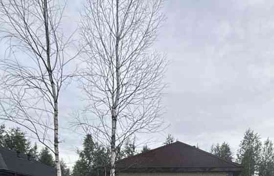 Дом, 56 м2, 5 соток, 1 эт. Тюмень