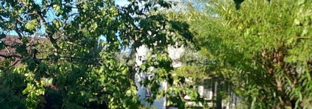 Дом, 84 м2, 30 соток, 2 эт. Ломоносов - изображение 1