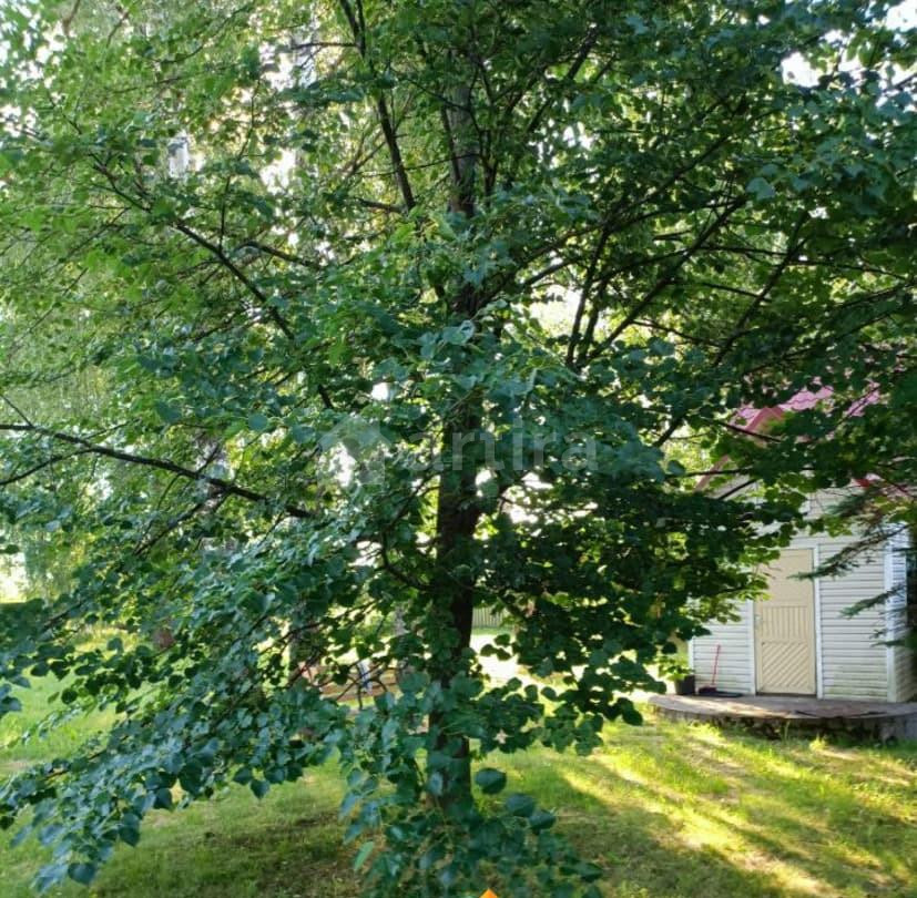 Коттедж, 80 м2, 30 соток, 2 эт. Сосново - изображение 5