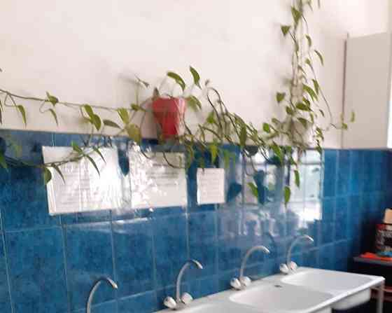 Комната, 8.2 м2, 2/3 эт. Екатеринбург