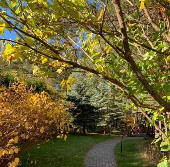 Дом, 500 м2, 25 соток, 3 эт. Истра