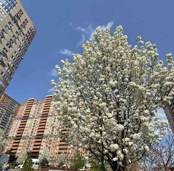 Гараж, 14 м2 Ростов-на-Дону