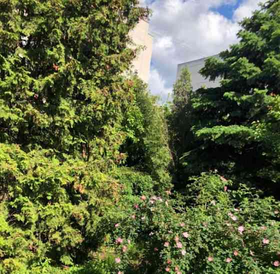 Коттедж, 572 м2, 13 соток, 4 эт. Воронеж