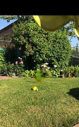 Коттедж, 280 м2, 2 сотки, 3 эт. Самара