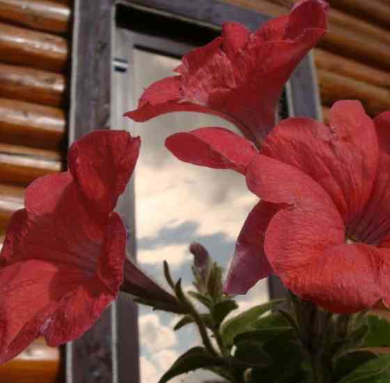 Дом, 77 м2, 0.88 га, 2 эт. Пермь