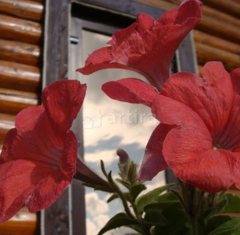 Дом, 77 м2, 0.88 га, 2 эт. Пермь - изображение 1