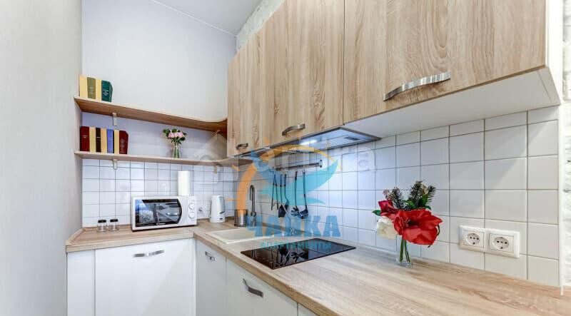 Студия, 20 м2, 1/4 эт. Санкт-Петербург - изображение 10