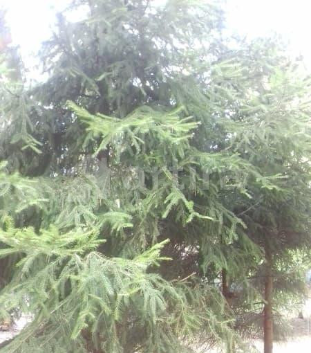 Дом, 110 м2, 8 соток Кратово - изображение 10