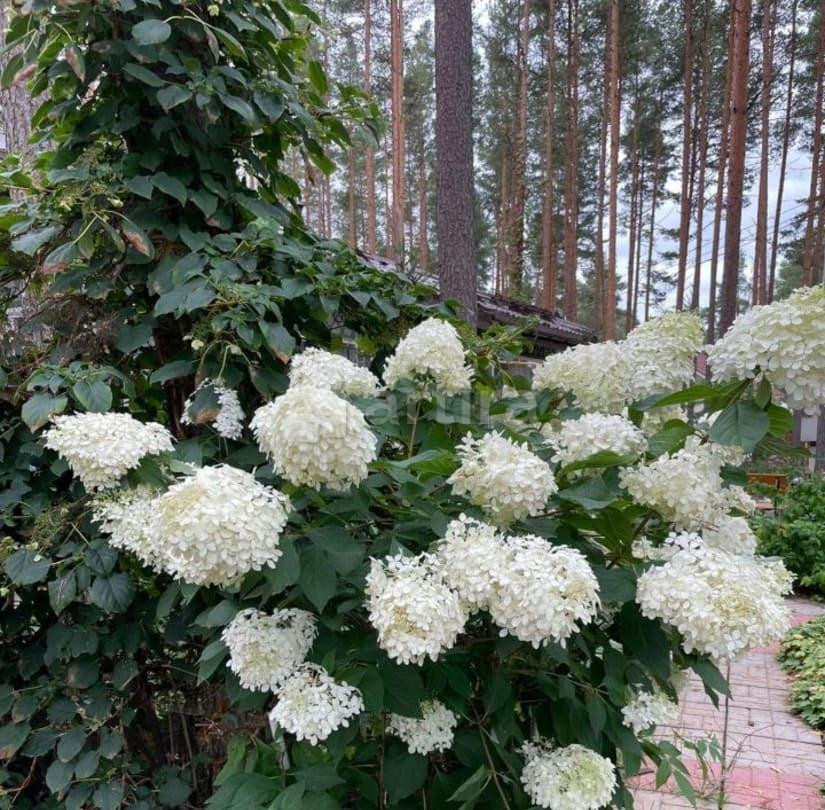 Дом, 200 м2, 30 соток, 1 эт. Выборг - изображение 3