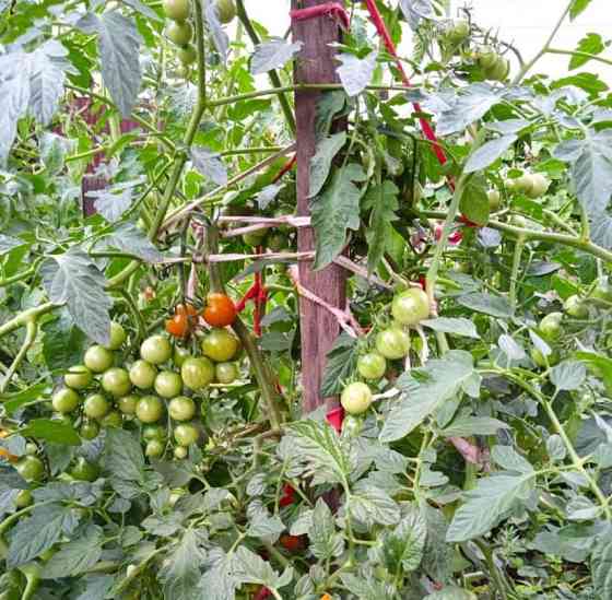 Дом, 50 м2, 4 сотки Уфа