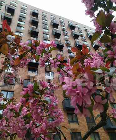 Студия, 21 м2, 13/33 эт. Москва