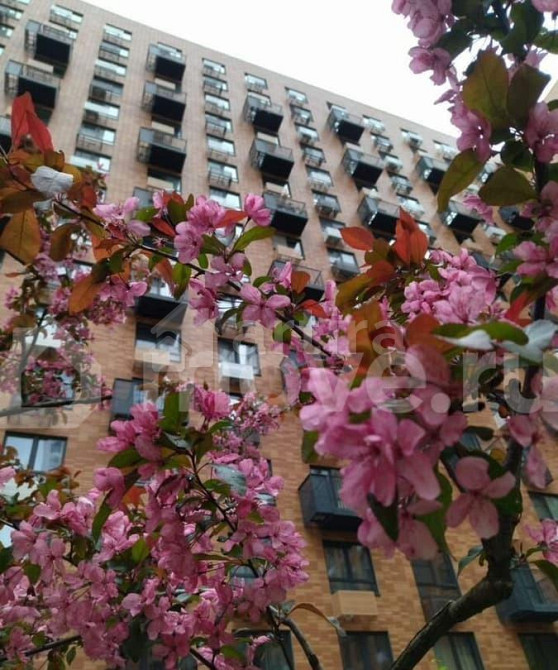 Студия, 21 м2, 13/33 эт. Москва - изображение 4