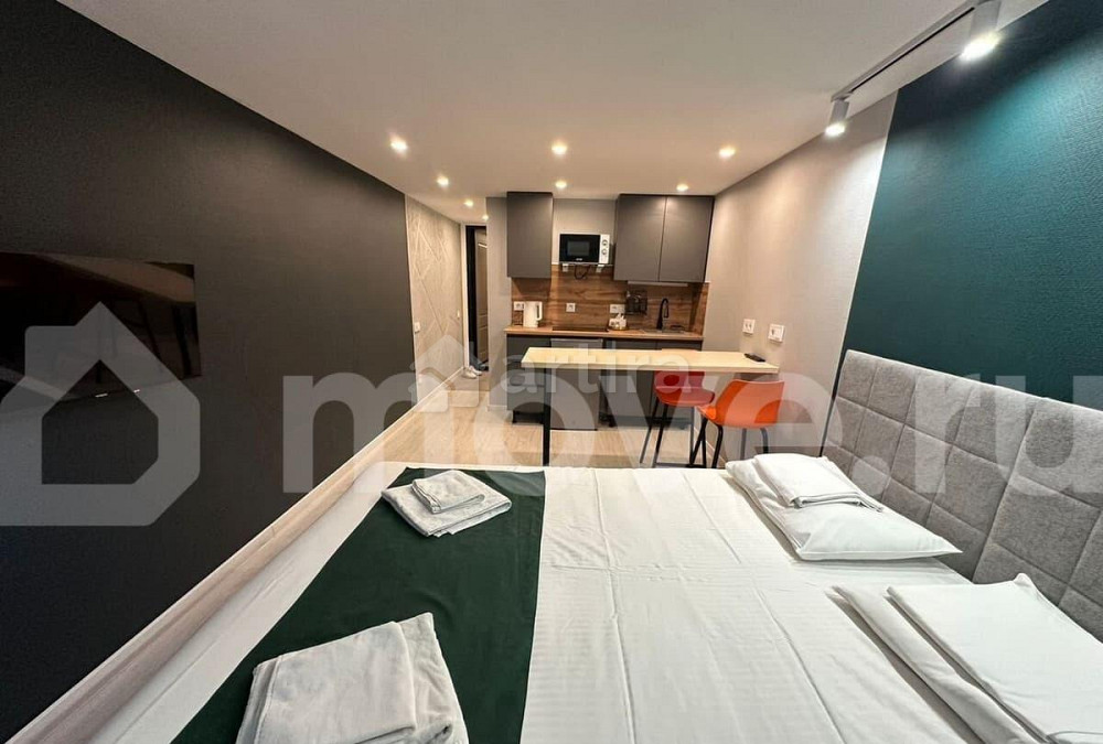 Студия, 24.5 м2, 3/6 эт. Москва - изображение 3