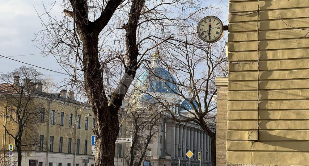 Комната, 80 м2, 2/5 эт. Санкт-Петербург - изображение 2