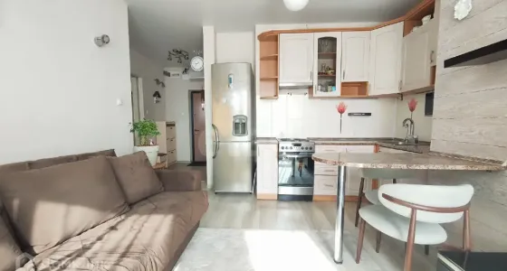 1-комн. квартира, 39.4 м², 13/15 эт. Владивосток