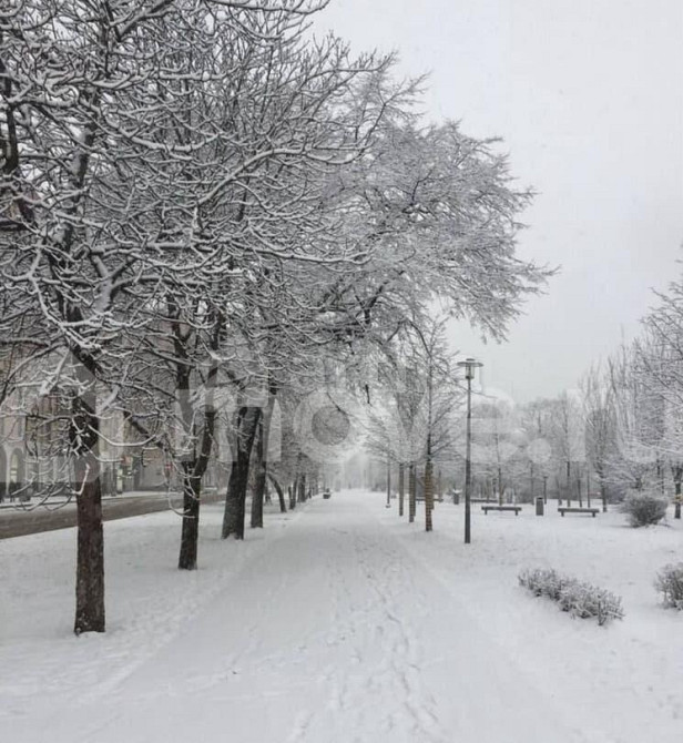 Студия, 16.8 м2, 1/5 эт. Москва - изображение 3