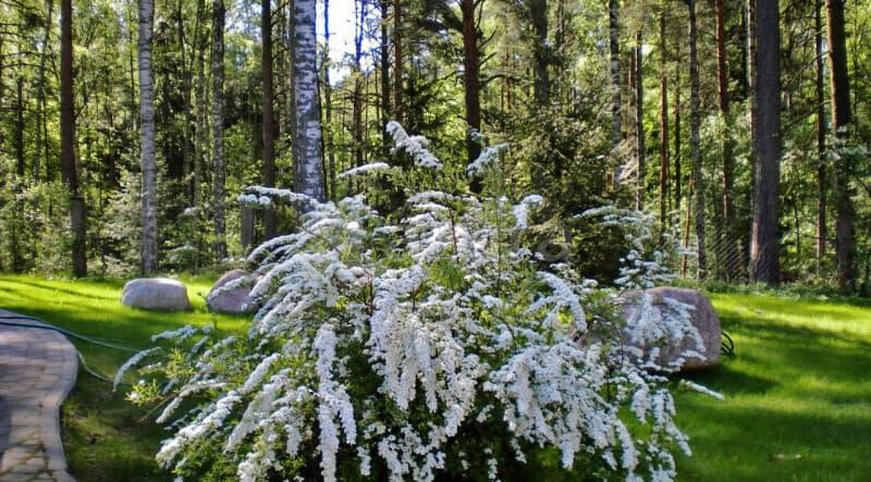 Коттедж, 380 м2 Санкт-Петербург - изображение 14