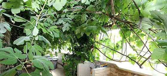 Дом, 210 м2, 3 сотки, 2 эт. Одинцово