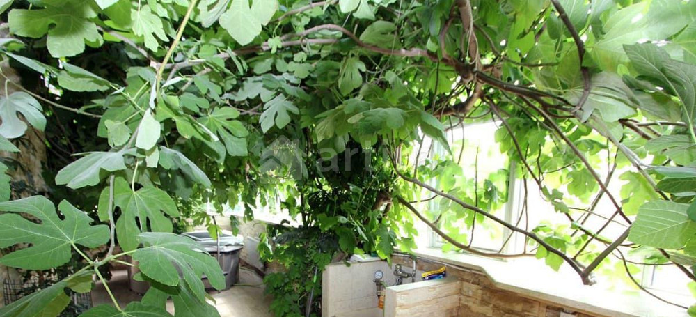 Дом, 210 м2, 3 сотки, 2 эт. Одинцово - изображение 4