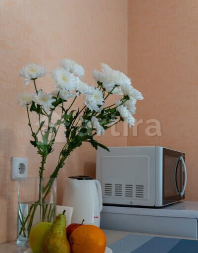 1-комн. квартира, 45 м2, 14/25 эт. Воронеж - изображение 13