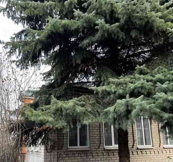 Дом, 95 м2, 10 соток, 1 эт. Батайск