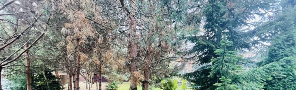 Коттедж, 340 м2, 17 соток, 2 эт. Звенигород - изображение 5