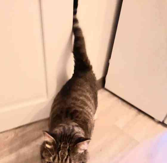 Комната, 19.1 м2, 1/5 эт. Москва