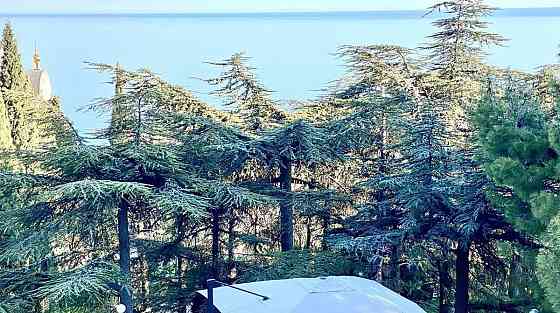 Дом, 395 м2, 45 соток, 3 эт. Ялта