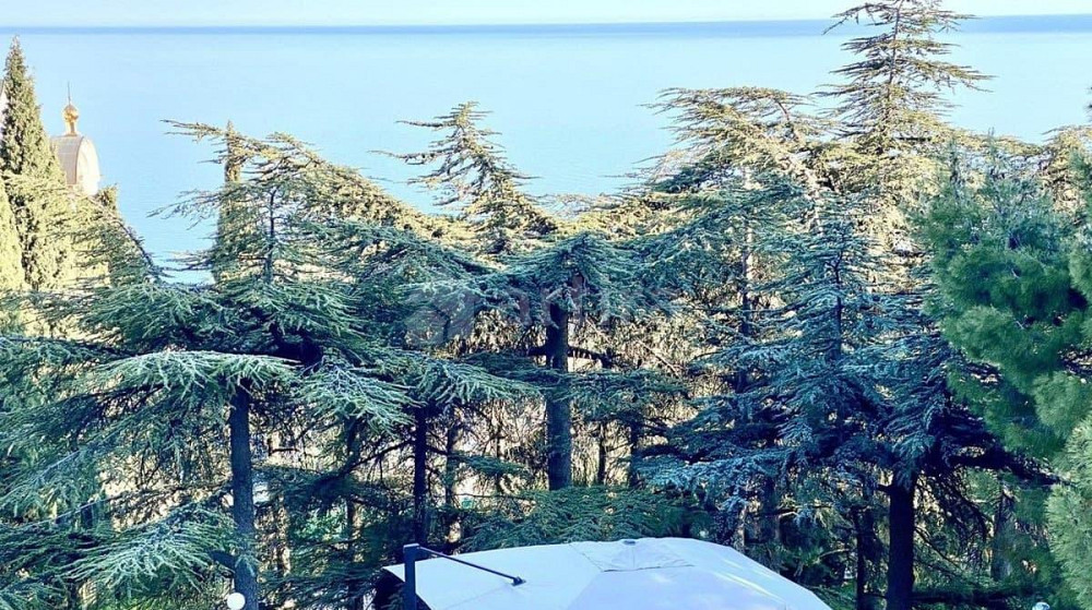 Дом, 395 м2, 45 соток, 3 эт. Ялта - изображение 1