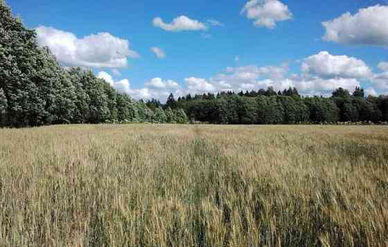 Коммерческий участок, 10 соток Луга