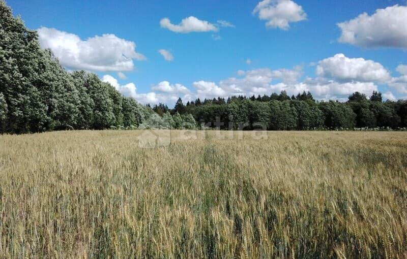 Коммерческий участок, 10 соток Луга - изображение 2