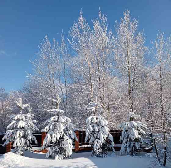 Дом, 180 м2, 15 соток, 2 эт. Ломоносов