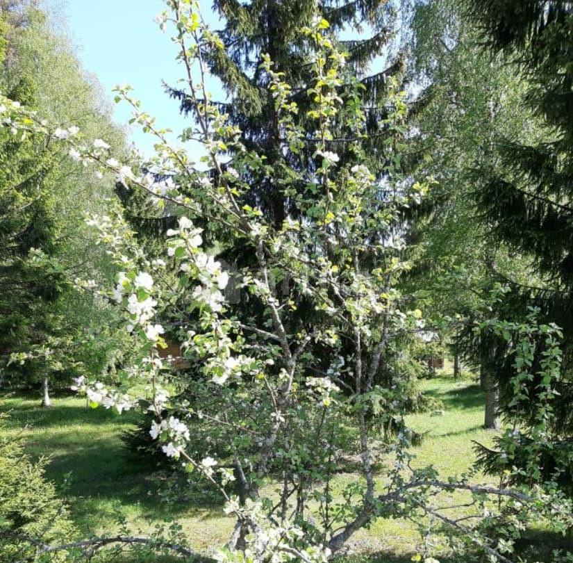 Дом, 40 м2, 40 соток, 2 эт. Кингисепп - изображение 7