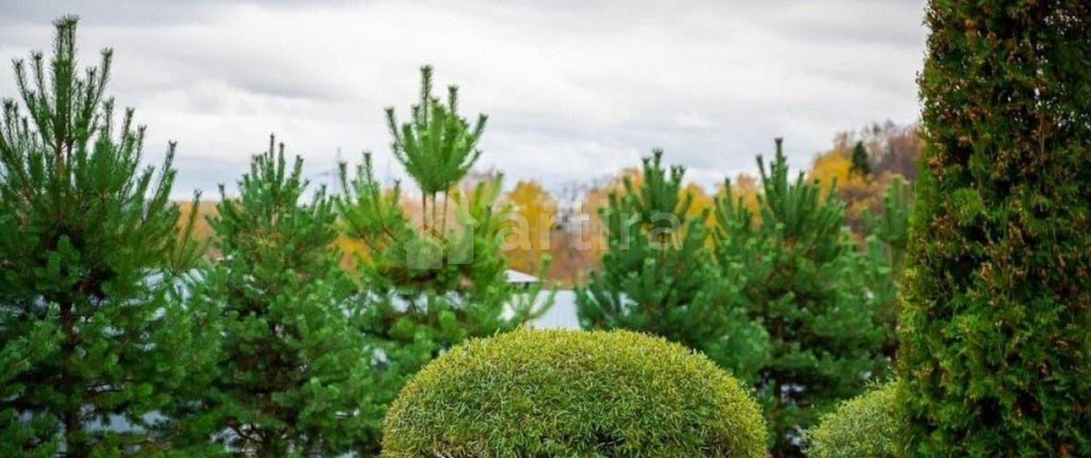 Коттедж, 350 м2, 25 соток, 2 эт. Дмитров - изображение 3