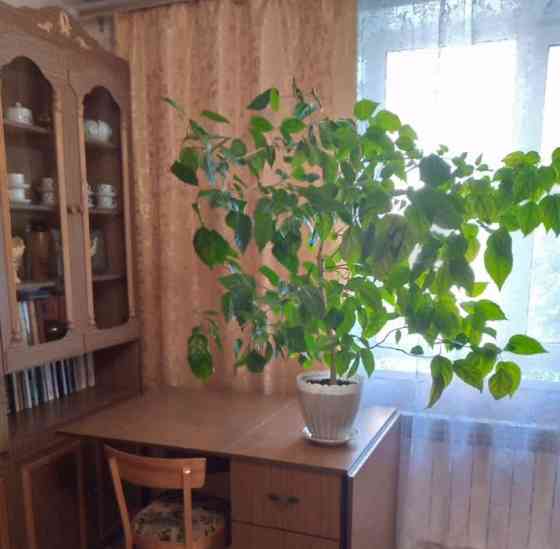 Комната, 16 м2, 3/4 эт. Воронеж