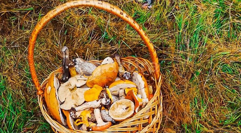 Коттедж, 150 м2 Санкт-Петербург - изображение 8