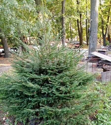 Дом, 35 м2, 8 соток Раменское - изображение 7