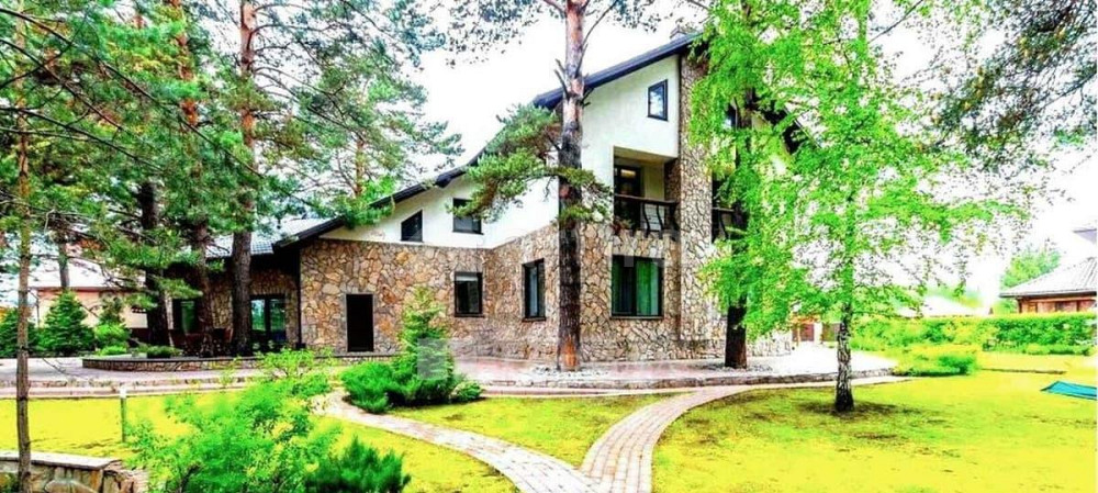 Дом, 300 м2, 43 сотки, 2 эт. Новосибирск - изображение 2