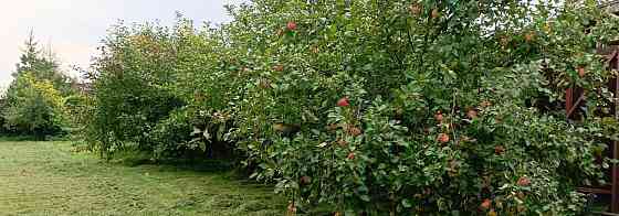 Дом, 150 м2, 30 соток, 2 эт. Руза