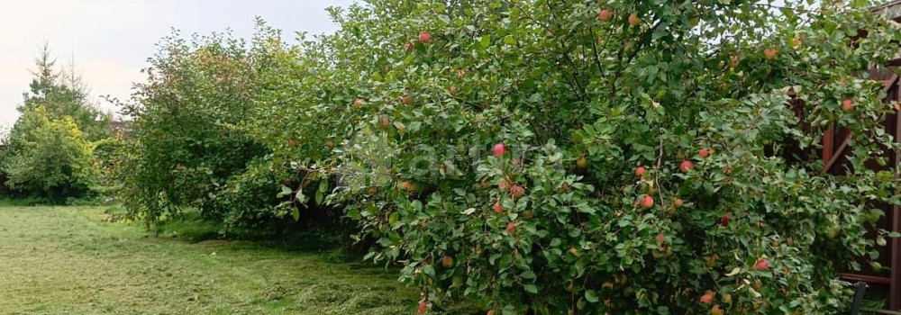 Дом, 150 м2, 30 соток, 2 эт. Руза - изображение 5