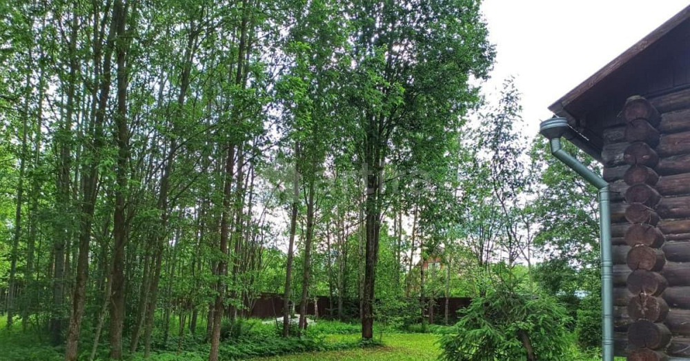 Дом, 110 м2, 15 соток, 1 эт. Москва - изображение 4