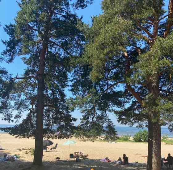 Коттедж, 135 м2, 12 соток Санкт-Петербург