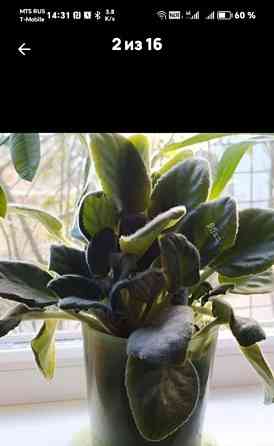 Коттедж, 120 м2, 10 соток, 2 эт. Воронеж