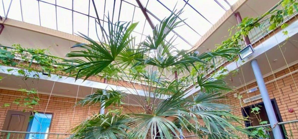 Коттедж, 700 м2, 10 соток, 1 эт. Тюмень - изображение 7