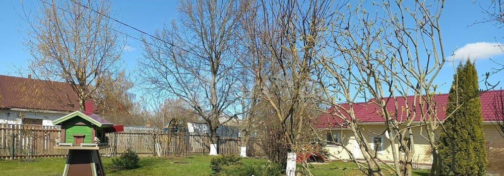 Дом, 48 м2, 10 соток, 1 эт. Сосново - изображение 4